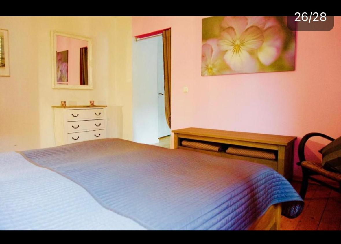 Apartment Moselblick Mit Kamin 特拉本特拉巴赫 外观 照片