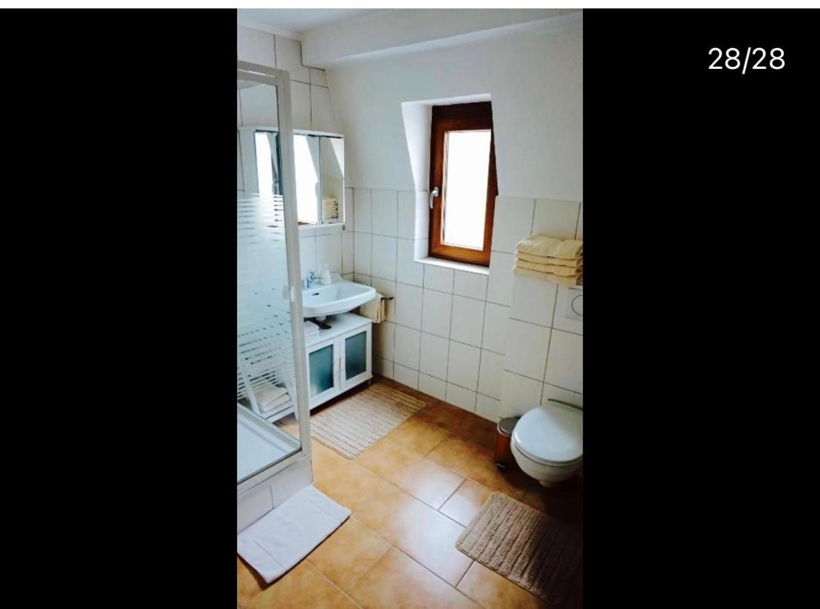 Apartment Moselblick Mit Kamin 特拉本特拉巴赫 外观 照片